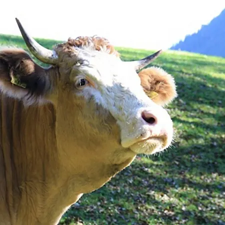 Haus Lindenbichl * Ramsau bei Berchtesgaden